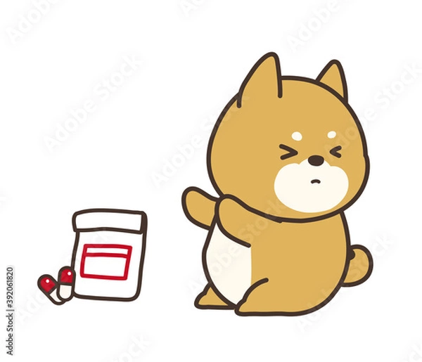 Obraz 薬を飲むのを嫌がる柴犬