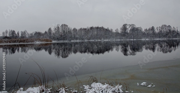 Obraz fog over the lake
