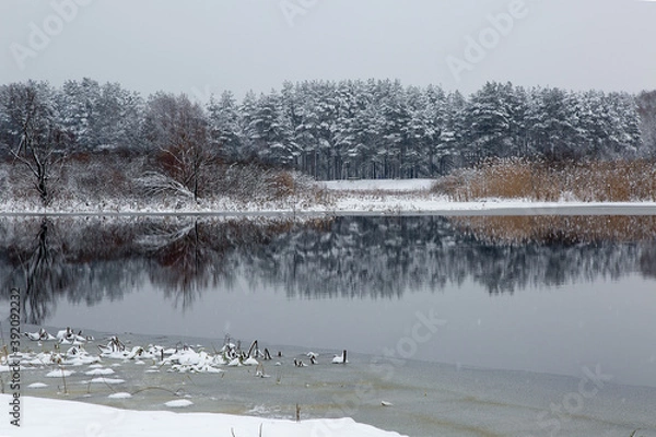 Obraz frozen river in winter