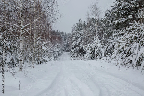 Obraz winter road in the forest