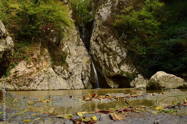 Obraz moss on the rocks