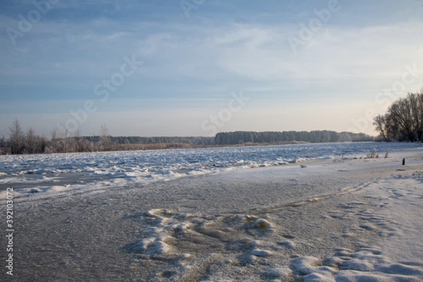 Obraz landscape with snow and trees