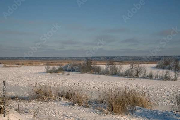 Obraz frozen lake in winter
