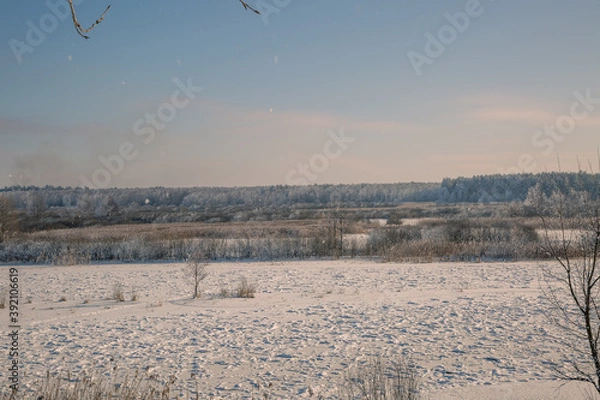 Obraz landscape with snow covered trees