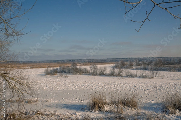 Obraz landscape with trees and snow