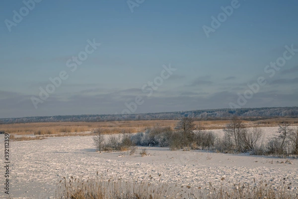 Obraz landscape with snow and trees