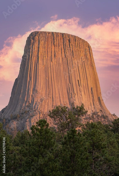 Fototapeta Devil's Tower Wyoming at Sunset