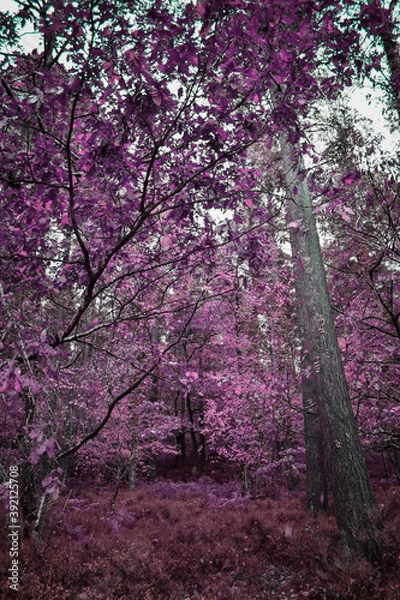 Fototapeta Abstract Purple Forest