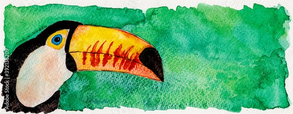 Fototapeta Portrayal of a colorful toucan in green background. Watercolor painting.