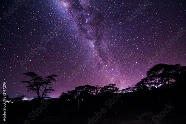 Obraz starry night sky