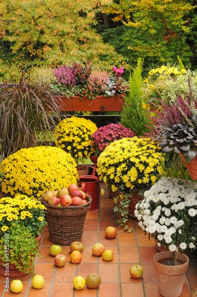 Fototapeta Balkon mit Herbstblumen.