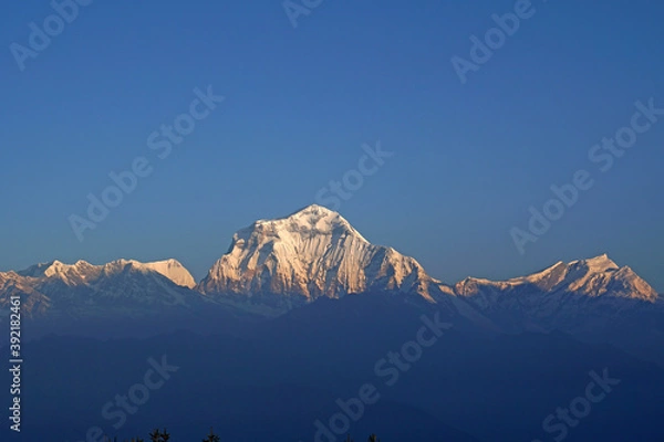 Obraz Nature himalaya rang mountain view of closeup Mt. Dhaulagiri massif.Dhaulagiri I is the seventh highest mountain in the world at 8,167 metresas seen from Poon Hill, Nepal - trekking route to Ghorepani