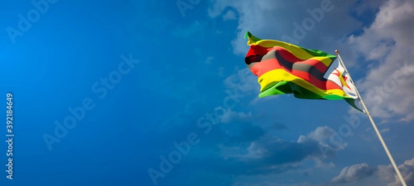 Fototapeta Beautiful national state flag of Zimbabwe with blank space. Zimbabwe flag on wide background with place for text 3D artwork.