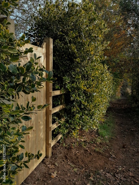 Fototapeta a wooden gate on the forest path