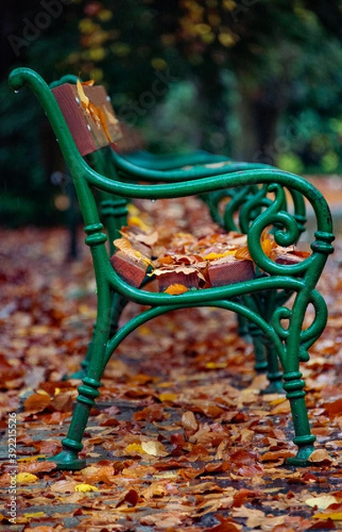 Obraz Green bench in park with red leafs 