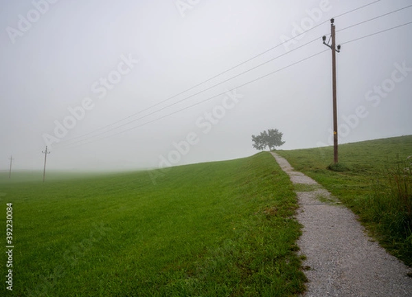 Fototapeta Power lines across the foggy field