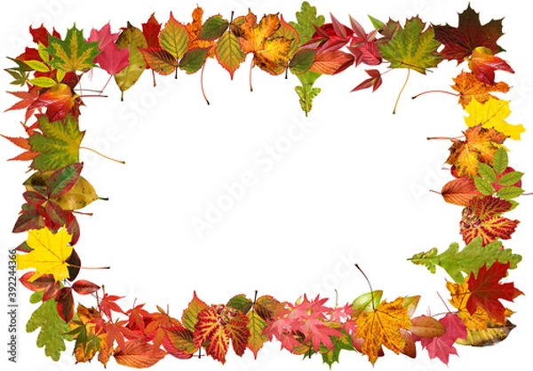 Obraz Autumn photo frames Made of autumn leaves