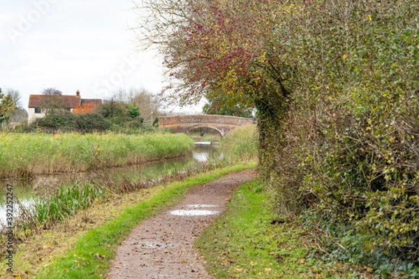 Fototapeta Taunton to Bridgwater Canal