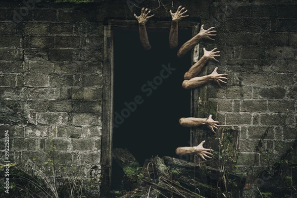 Fototapeta Hands coming out from the door with dark background. Scary zombie hands.