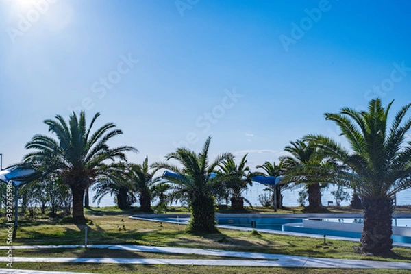 Fototapeta 海辺のガーデン