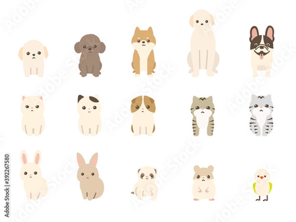Obraz ペット　動物のベクターイラストセット　犬、猫、兎、小動物