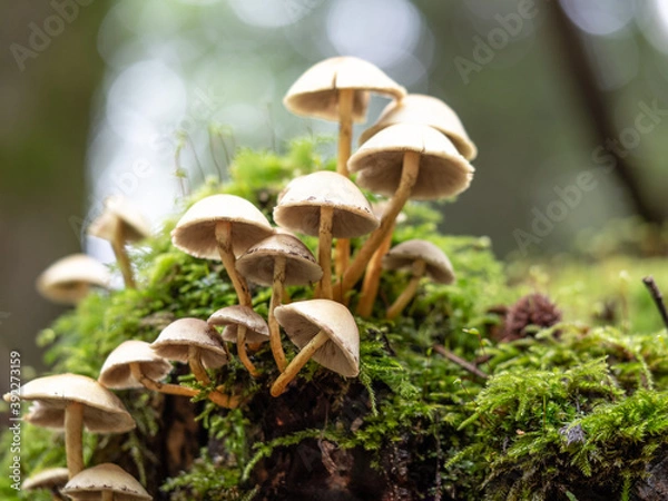 Obraz OLYMPUS DIGITAL CAMERA