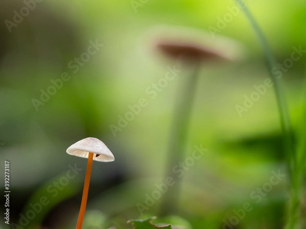 Obraz OLYMPUS DIGITAL CAMERA