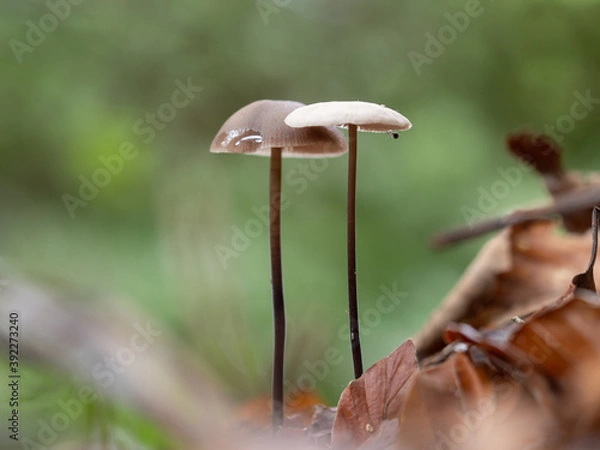 Obraz OLYMPUS DIGITAL CAMERA