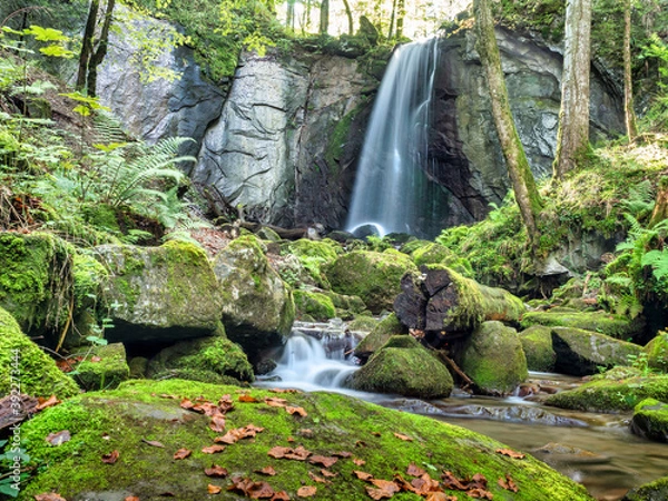 Obraz OLYMPUS DIGITAL CAMERA