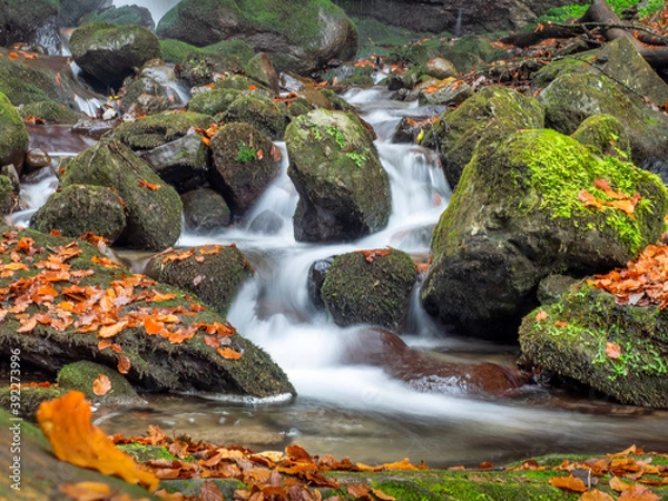 Obraz OLYMPUS DIGITAL CAMERA