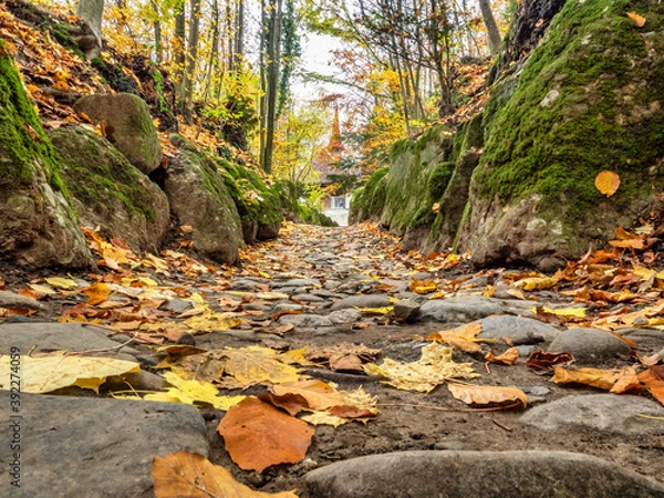 Obraz OLYMPUS DIGITAL CAMERA