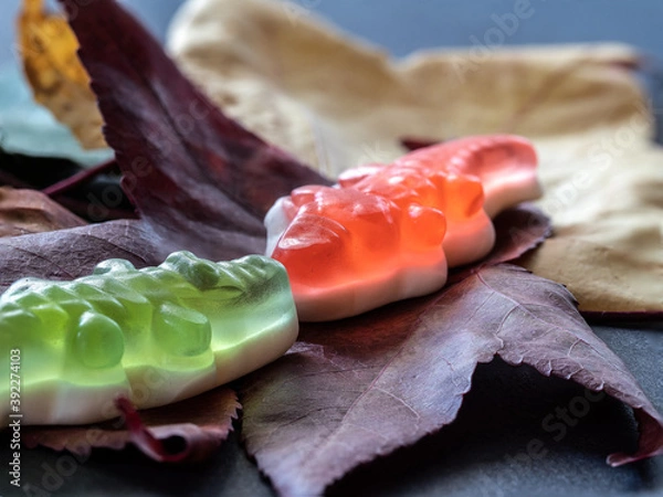 Obraz OLYMPUS DIGITAL CAMERA