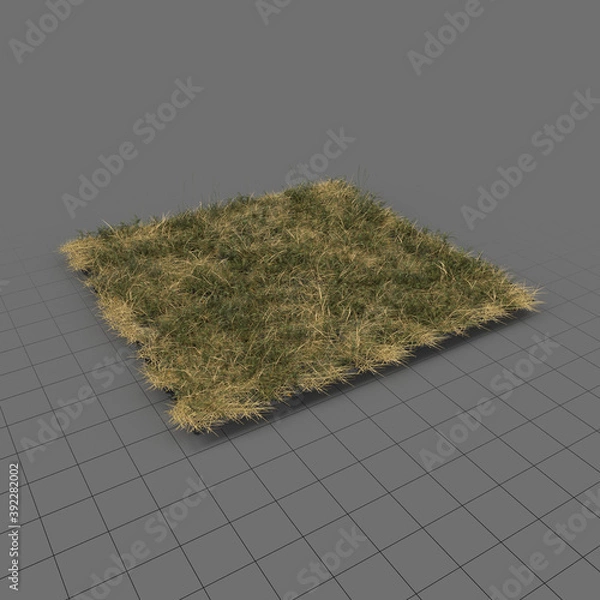 Obraz Bloodwort Meadow Patch