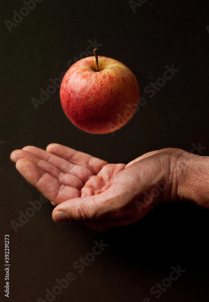 Obraz Ręka z czerwonym jabłkiem unosząca się przed ciemnym tłem