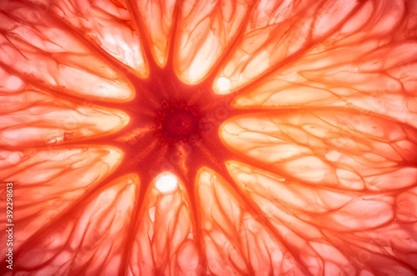 Obraz sliced grapefruit for light, macro abstraction