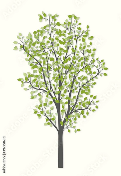 Obraz Tree with green leaves on a light background