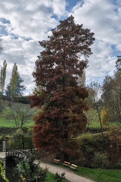 Obraz Herbstlandschaften an der Bergstraße.