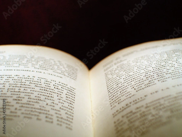 Fototapeta Livre ouvert