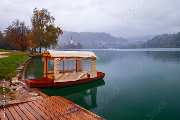 Fototapeta Famous Bled Lake in Triglav National Park in the Julian Alps with a forest in autumn colors