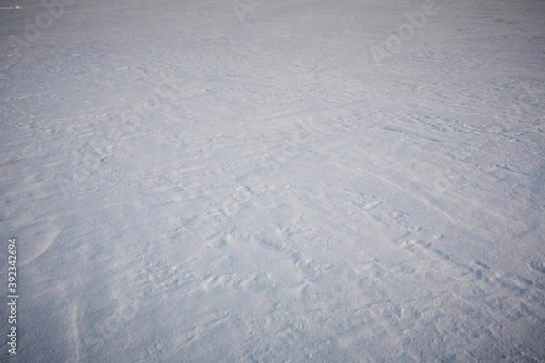 Obraz snow texture