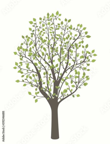 Obraz Drawing of a tree with leaves on a light background