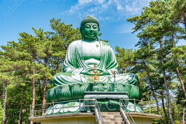 Fototapeta 能登長寿大仏