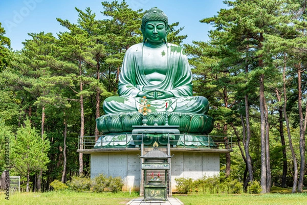 Fototapeta 能登長寿大仏