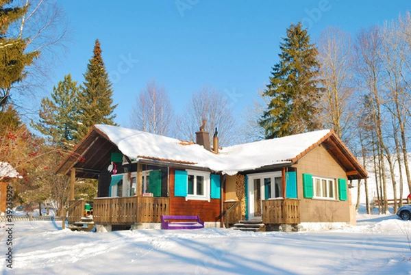 Obraz House in snow