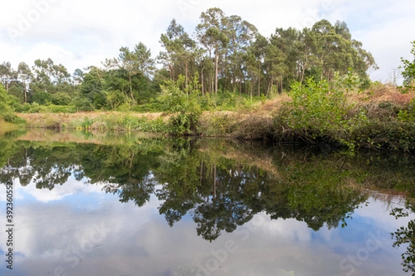 Obraz Reflexos no rio