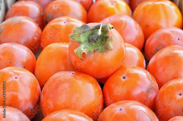 Obraz Persimmons
