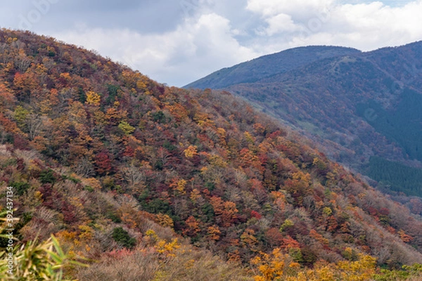 Obraz 秋の箱根散策