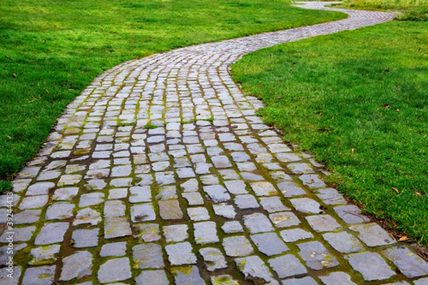 Fototapeta Curvy Brick Path in grass