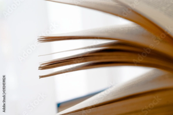 Fototapeta Open book, hardback books on bright colorful background.