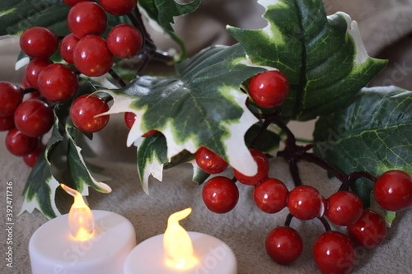 Obraz Flores de Natal